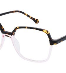 Lunette mixte